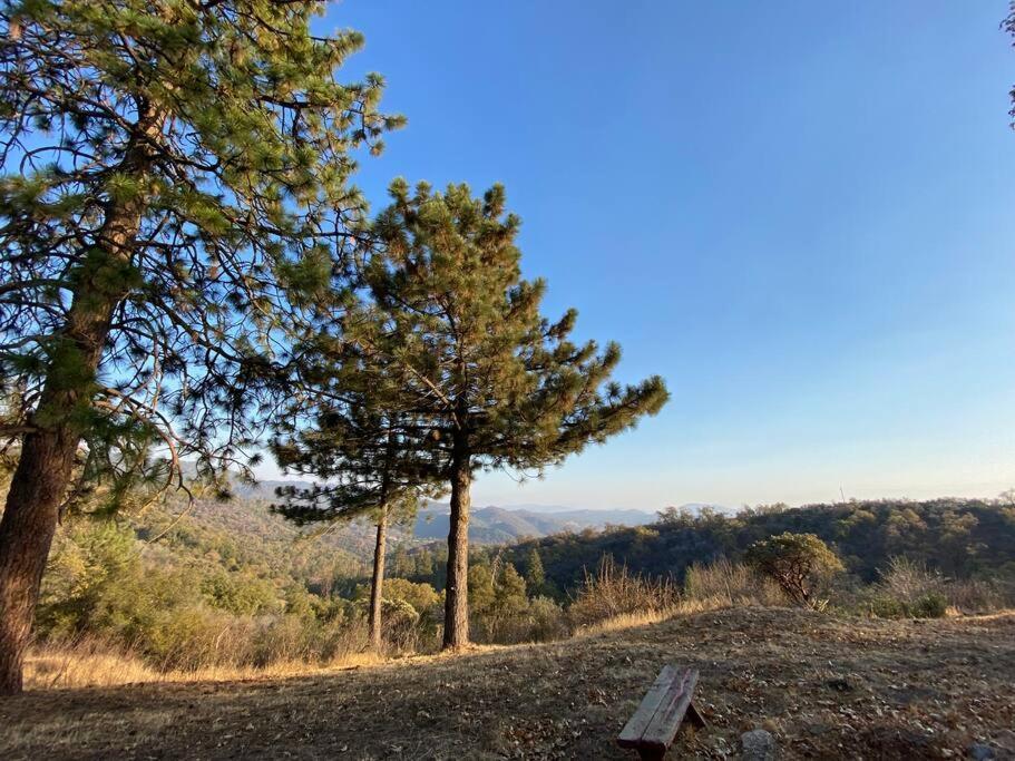 Modern Airstream With Amazing View - 10 To 15 Minutes From Kings Canyon National Park Dunlap ภายนอก รูปภาพ
